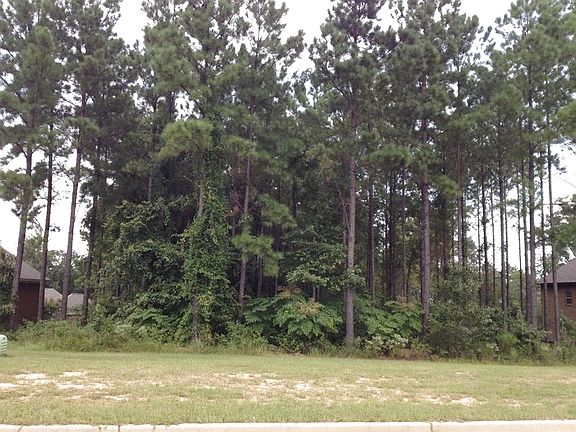 4th image of Brookwood Drive
