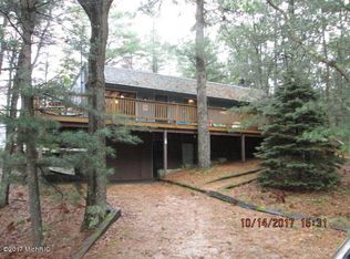 9130 N Paulina Ave, Pentwater, MI 49449