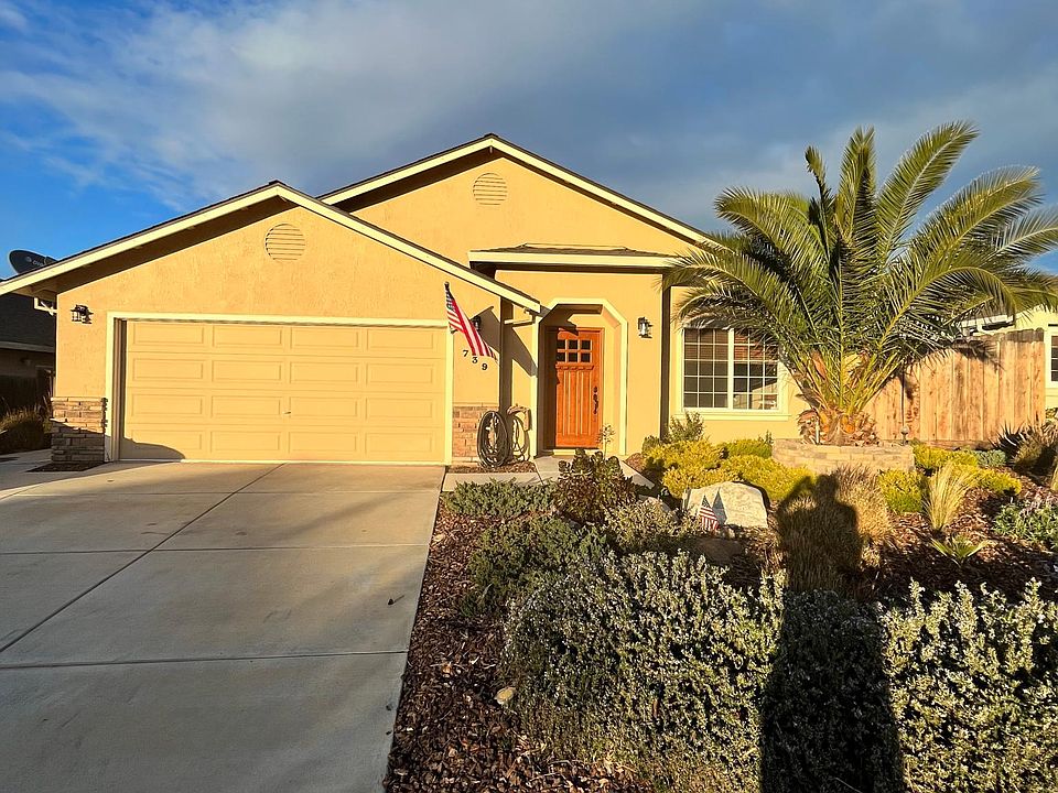 front yard - no maintenance - drip irrigation