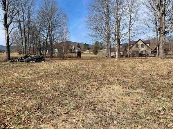 266 Cessna Ln, Davis, WV 26260