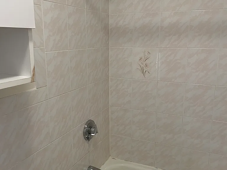 203 Ash St #1 — Photo 11