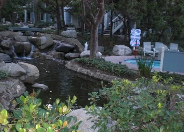 1262 W Park Western Dr #50.0 — Photo 9