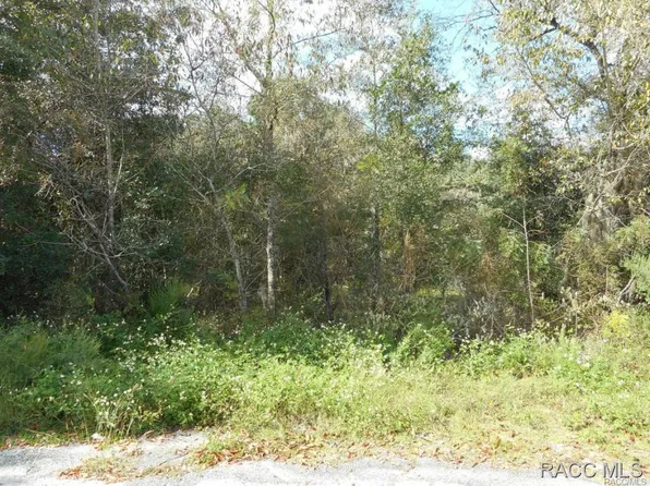 10164 N Burgundy Point, Dunnellon, FL 34433