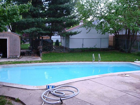 Backyard pool and shed
