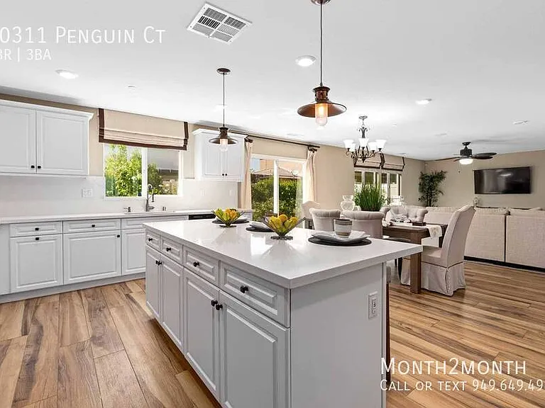 10311 Penguin Ct — Photo 4