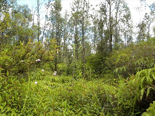 2nd image of Kiele St Lot 11