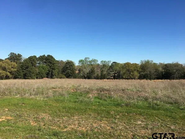 12721 Ridgeway Ct, Winona, TX 75792