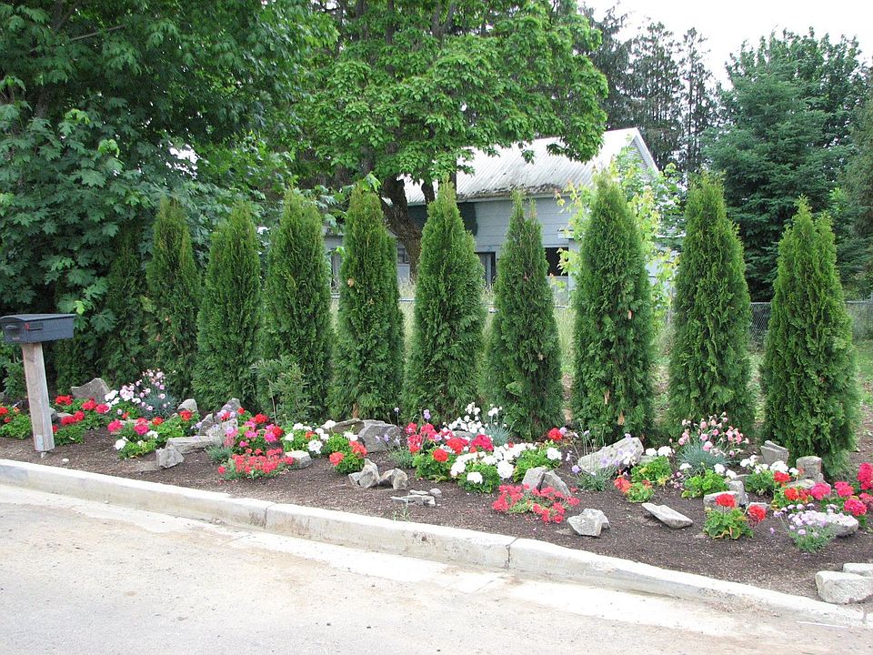 Side yard
