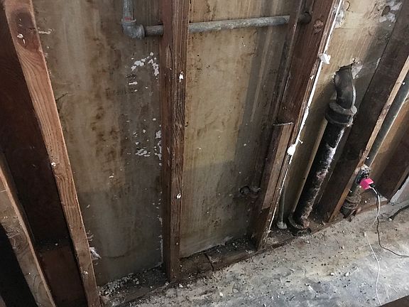 4th image of 1011 Dusky Rose Ln