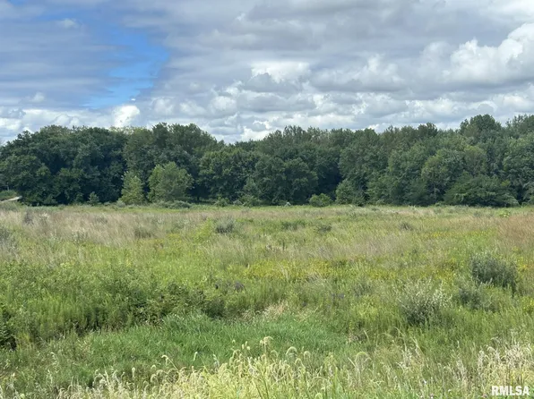 2600 N 800 East Rd, Edinburg, IL 62531