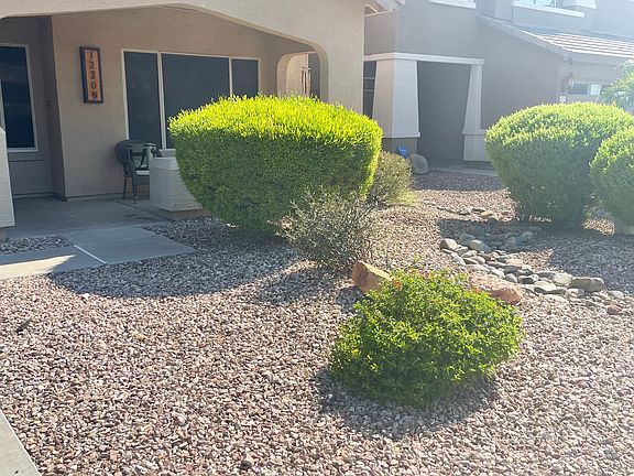 Low maintenance desert landscaping