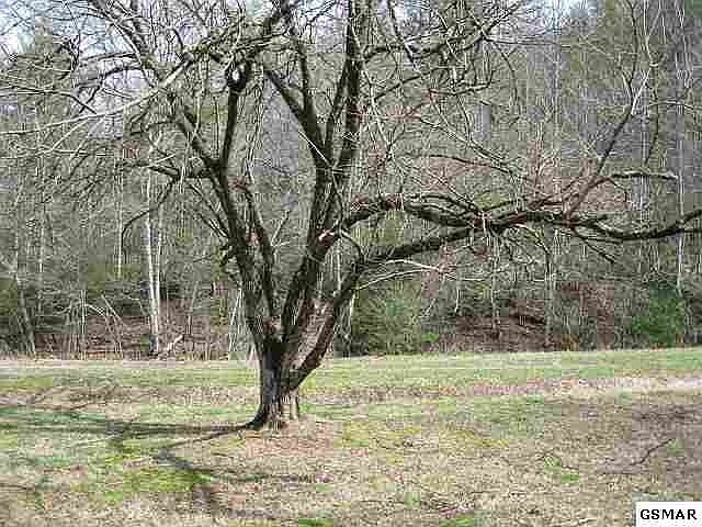 1st image of 26 Clear Fork Rd Lot 26