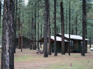 25320 Highway 191, Alpine, AZ 85920