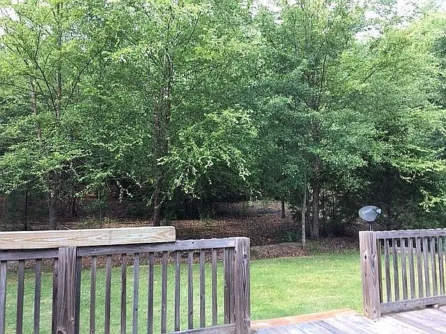 Back yard and deck summer time