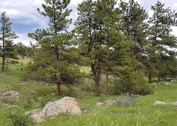 2nd image of 637 Le Conte Ct