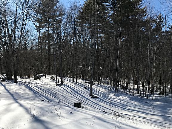 Squam seen thru trees to W