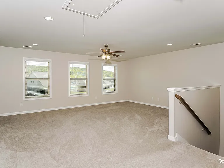 117 Holly Fern Dr — Photo 14