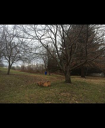 3rd image of 160 Anderson Dr