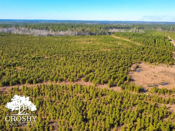 Baxter Durrence Rd, Glennville, GA 30427