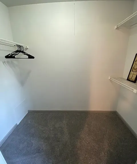 Walk-in Closet at Trailpoint at the Woodlands