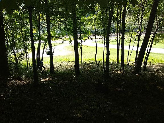 3rd image of Norris Fwy