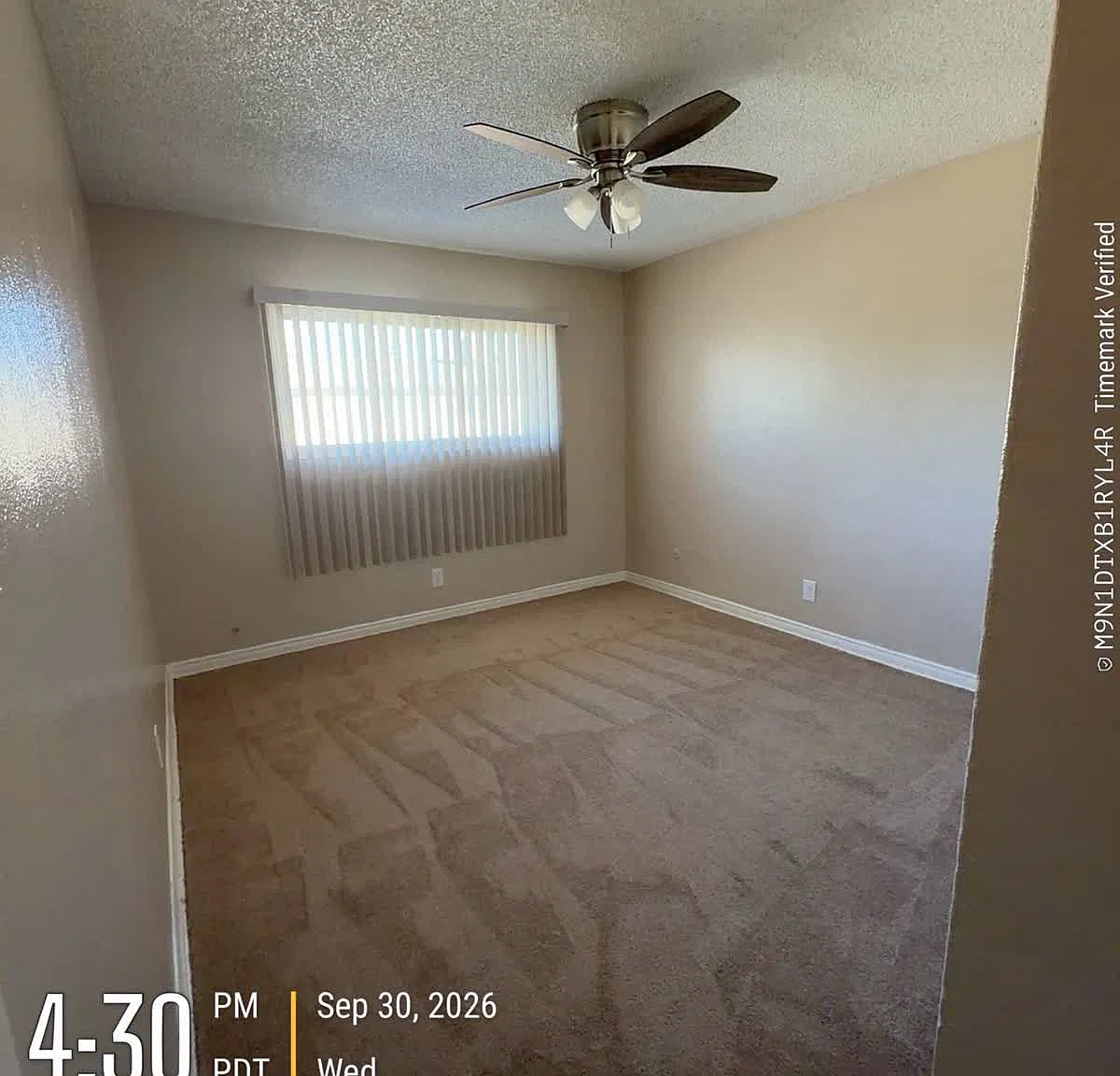 2 bed, $1,095 — Photo 3