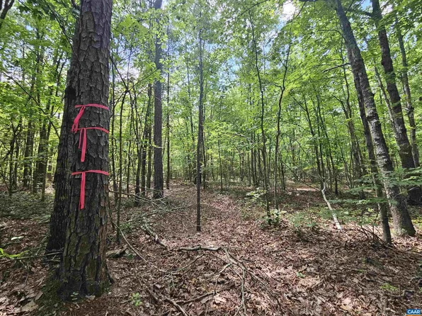 W James Anderson Hwy, Gladstone, VA 24553