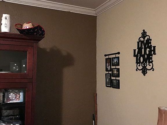 Living room crown molding 
