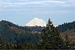 This is the beautiful Mt. Hood view!