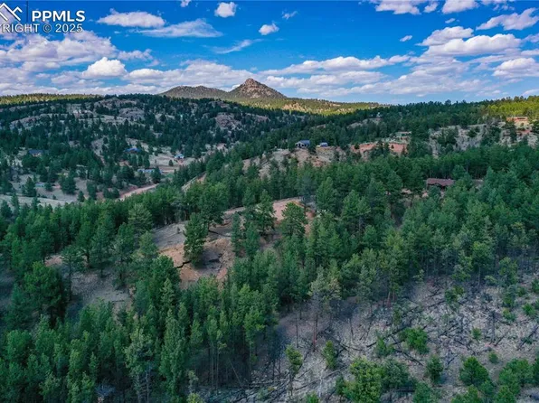 1066 Pikes Peak Dr, Florissant, CO 80816