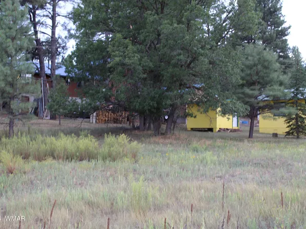 5523 Turkey Run Rd, Pinedale, AZ 85934