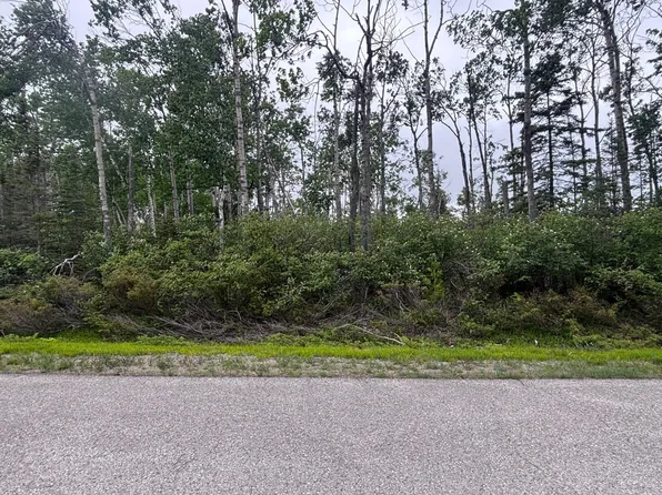LOT 92 Pine St, Presque Isle, MI 49777