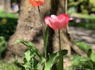 1317 S Fiske St, Spokane, WA 99202