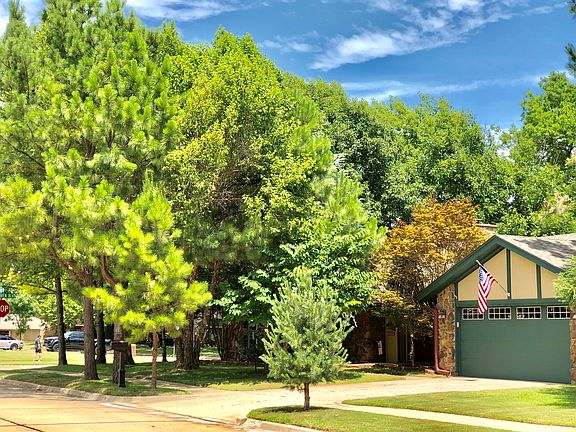 Blue Spruce and pine trees! 