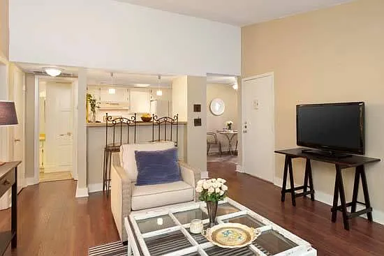 Large 1/1 living room (standard)