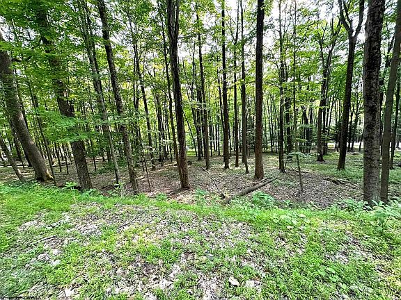 5th image of 123 E Alpine Dr