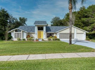 13013 Jocelyn Way, Spring Hill, FL 34609