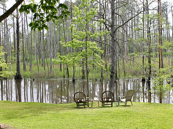 View of the tidal creek.