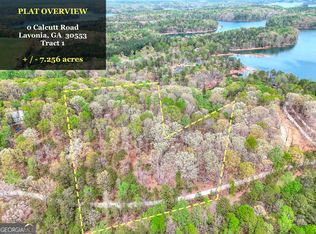 0 Calcutt Rd LOT 1, Lavonia, GA 30553