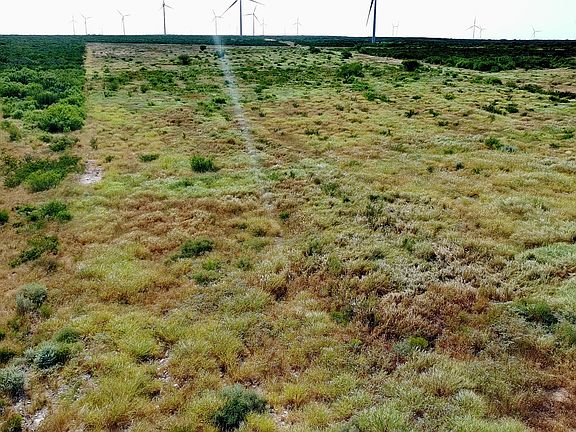 5th image of TRACT 8 (47.77) San Pablo Rd