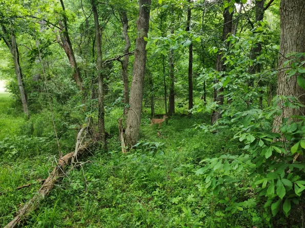 0 County Road 2350n, Rinard, IL 62878