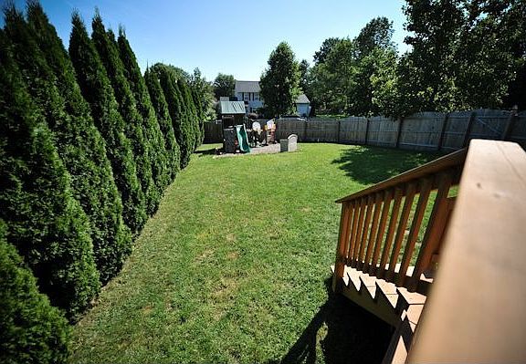 Fenced-in, Tree-lined, Private yard