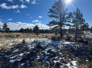 861A Highway 24, Lake George, CO 80827