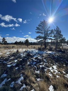 861A State Highway 24, Lake George, CO, 80827