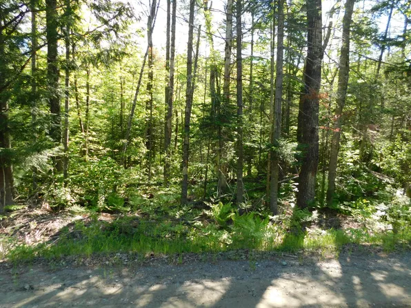 000 Berry (Bert Berry) Road, Concord Twp, ME 04920