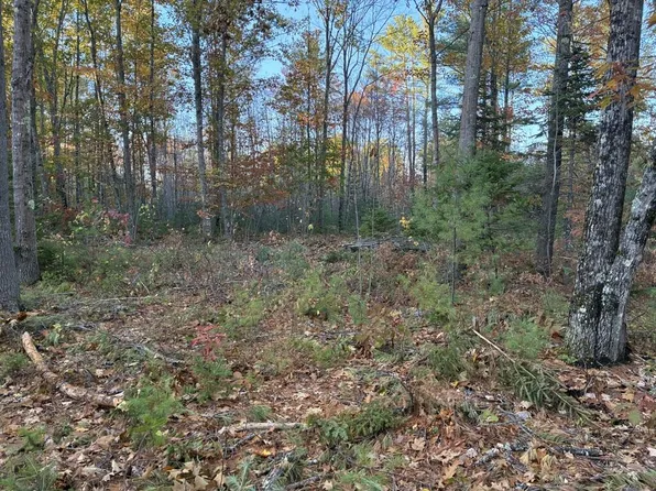 Lot 16 (2) Whittier Road, Farmington, ME 04938