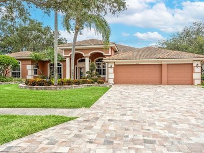 2019 Diamond Ct, Oldsmar, FL, 34677