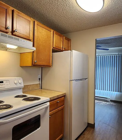 360 S Locust St #376 — Photo 8