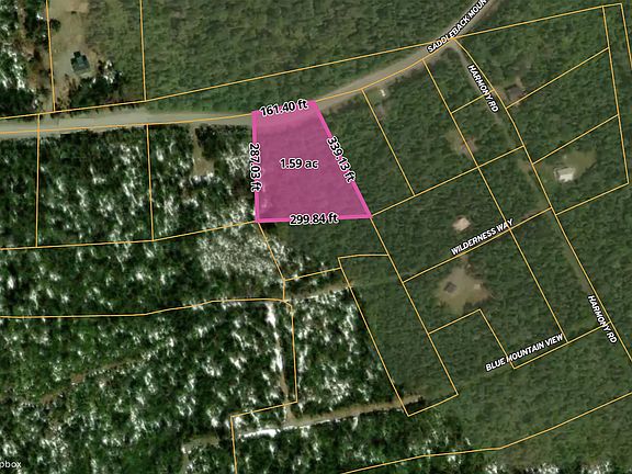 2nd image of 101 Saddleback Mountain Road