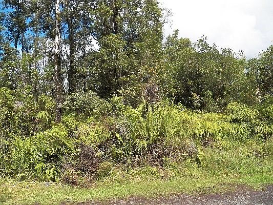 3rd image of Orchid Land Dr Lot 101